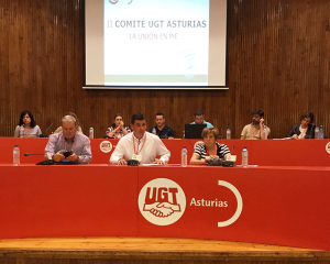 El comité fue presidido por Fernando Díaz Arnáiz, que compartió mesa con Maximina Fernández Otero y Luis Blanco Junquera.