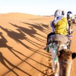 Tourists caravan riding dromedaries through sand dunes in Sahara