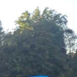 WhatsApp Image 2025-10-18 at 10.14.49