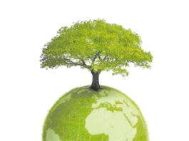 La acción sindical frente a la emergencia climática
