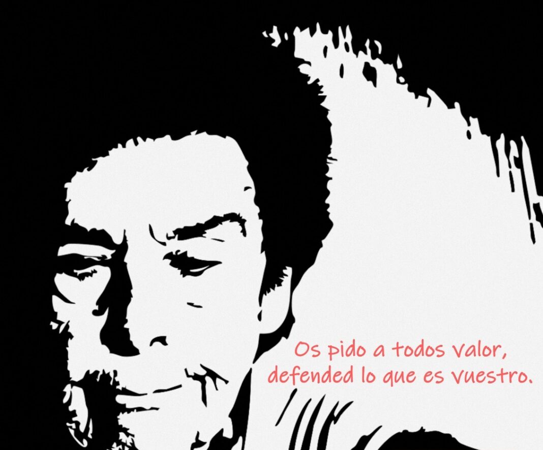 WhatsApp Image 2026-10-08 at 15.41.56 - copia